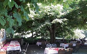 Gasthaus Auerhahn